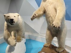 -青岛海底世界-水族馆