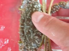 -特色海鲜美食(老街店)