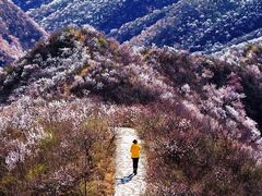 -妙峰山风景名胜区