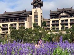 -清远熹乐谷温泉度假酒店