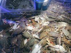 -澜悦港海鲜体验主题餐厅