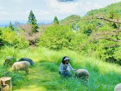 -神户市立六甲山牧场