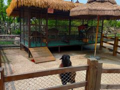 -珠海海泉湾神秘岛亲子乐园