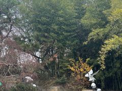 -上海望仙安息园