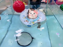 -海豚啵啵体智能游泳馆(惠山万达广场店)