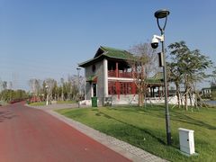 -王借岗森林公园