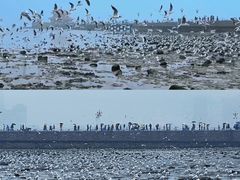 -青岛市江苏路基督教堂