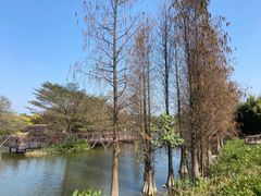 -海珠湖公园