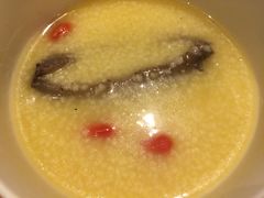 海参粥-君悦酒店·乐厨·高空自助餐(青年大街店)
