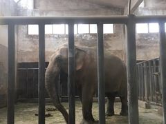 -石家庄市动物园