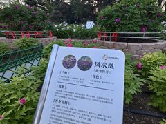 -太阳宫公园
