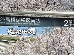 -外高桥保税区南(地铁站)