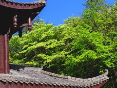 -镇龙山国家森林公园