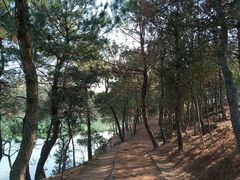 -南京市无想山景区