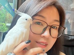 -莫多多餐厅