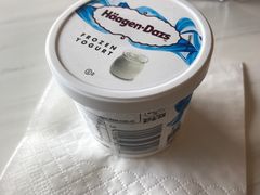 酸奶冰淇淋-哈根达斯(天河城店)