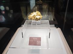 -安徽省地质博物馆