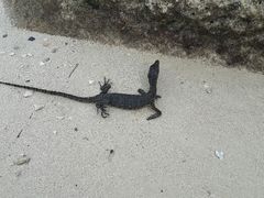 android_upload_pic-东姑阿都拉曼海洋公园
