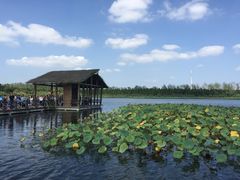 -溱湖国家湿地公园