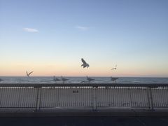 -黄金海岸