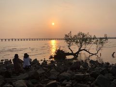 -宝安西湾红树林湿地公园