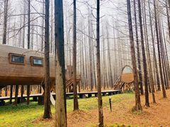 游乐设施-黄海国家森林公园