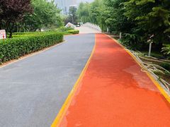 -大兴滨河森林公园