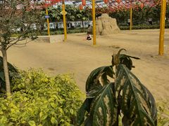 -南宫五洲植物乐园