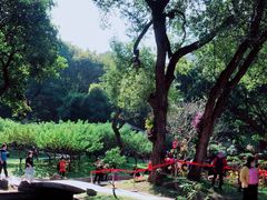 -广州市白云山风景名胜区