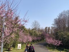 -上海海湾国家森林公园