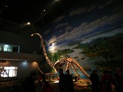 -自贡恐龙博物馆