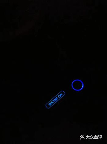 伴君之右泊 港，能看到的美都是短暫的。