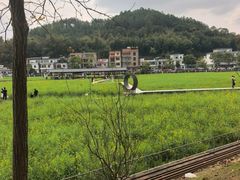-红山村
