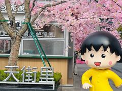 -首开·龙湖成都西宸天街