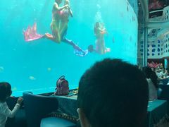 -瑞德姆美人鱼海底演艺主题餐厅(亚龙湾店)