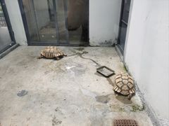 -荆州中山公园动物园