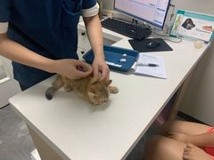 -东莞宠友24H宠物中心医院·转诊夜诊·异宠(新河北路院)