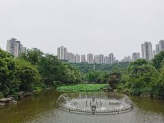-龙头寺公园