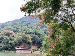 -桃花岭景区