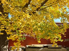 -北京石刻艺术博物馆(五塔寺)