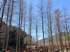 -广州市石门国家森林公园