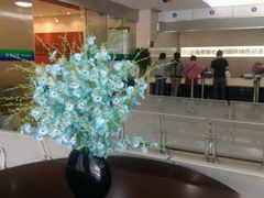 -上海市第七人民医院