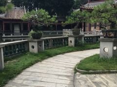 -碧江金楼