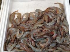 -青石桥市场北1-27号