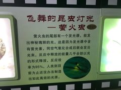 -上海昆虫博物馆
