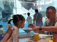 -帝企鹅自助餐厅•儿童岛•真企鹅(长隆企鹅酒店)