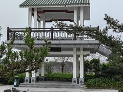-王借岗森林公园