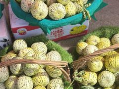 -蒲河大集