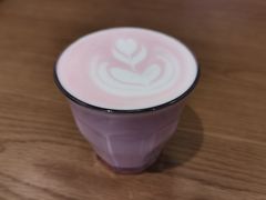 ins樱花-Peet's Coffee皮爷咖啡(大学路店)