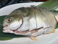 -小海豚•老字号海鲜餐厅(天涯店)